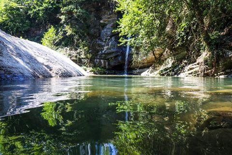 Ordu’nun Dereleri Boşa Akmayacak