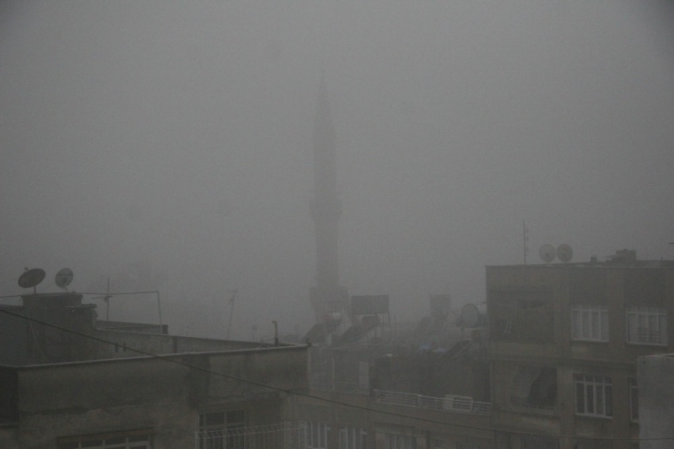 Kilis’te Yoğun Sis Etkili Oldu