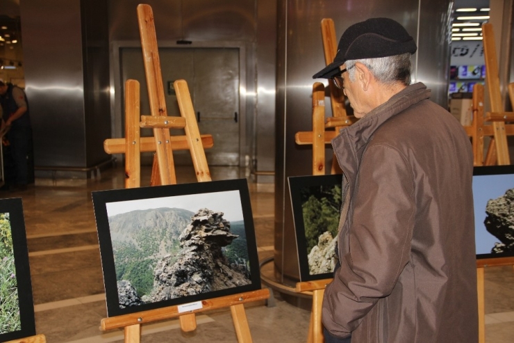 Bu Fotoğraflara Bakan Bir Daha Baktı