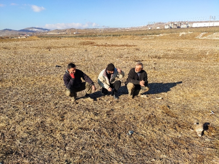 Çiftçi: "Tarım Kredi Kooperatifi Faizleri Çok Yüksek"