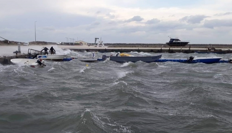 Liman’da Korku Dolu Anlar