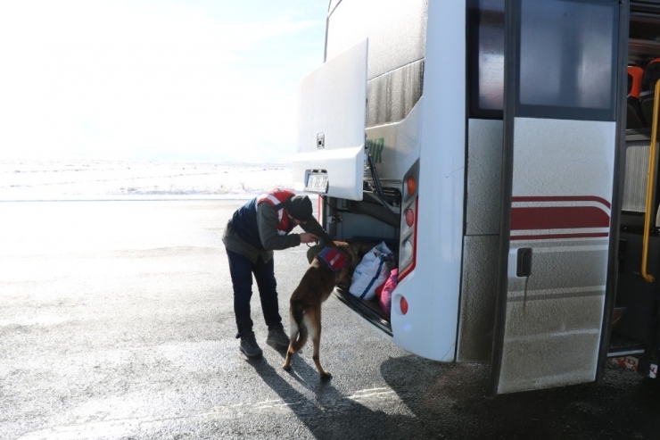 Kars’ta Jandarmadan Huzur Uygulaması