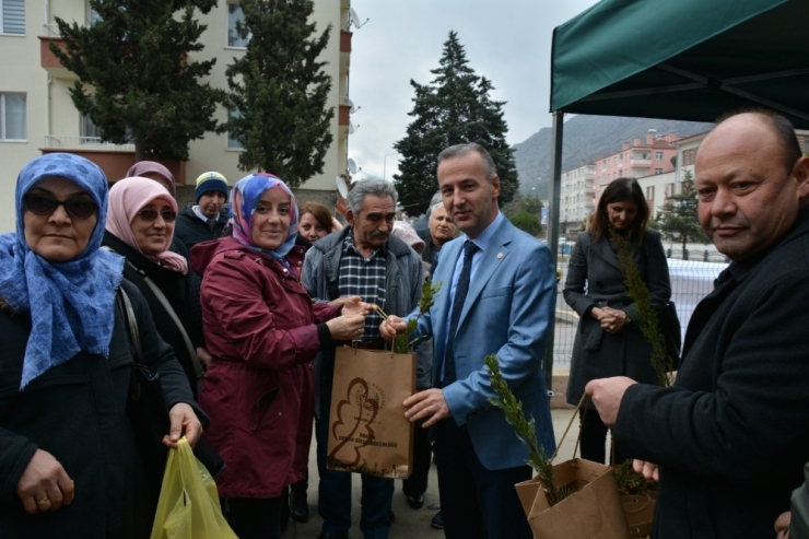 2 Bin 500 Fidan Dağıtıldı