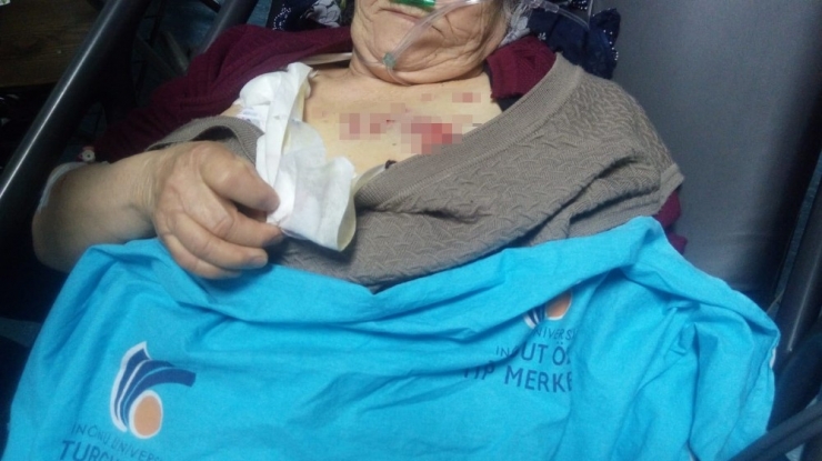 Pompalı Tüfekle Vurulan Yaşlı Kadın Ağır Yaralandı