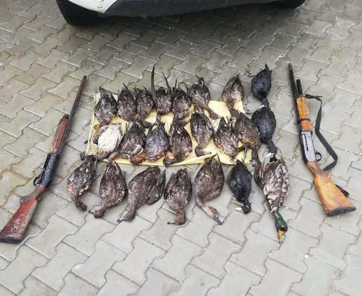 Milli Parktaki Kaçak Ava 32 Bin Tl Ceza