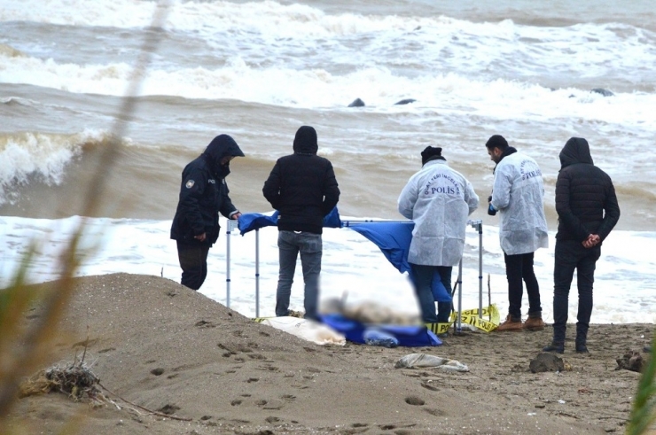 Karasu Sahilinde Erkek Cesedi Bulundu