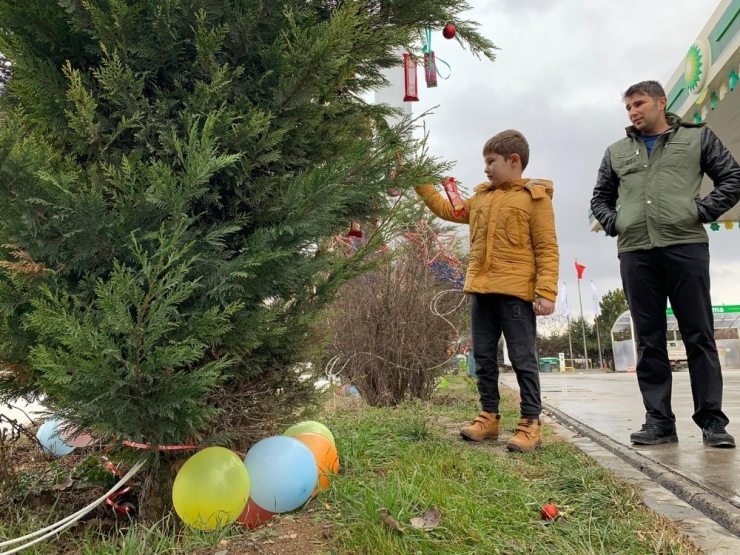 Yılbaşında Ağaçlar Çocuklar İçin Süslendi