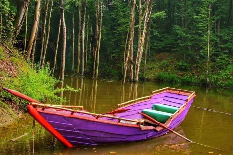 Ormanya 2019’da 7 Milyon 211 Bin Ziyaretçiyi Ağırladı