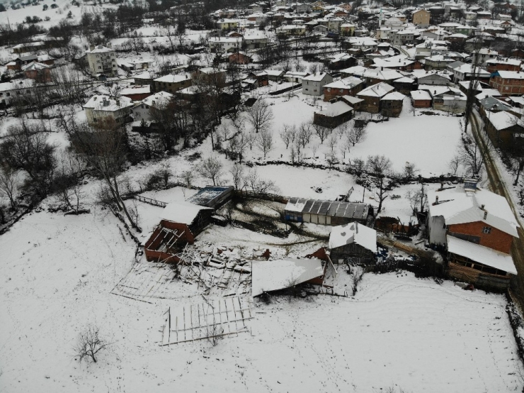 Ahırın Çatısı Kara Dayanamadı, 50’ye Yakın Koyun Telef Oldu