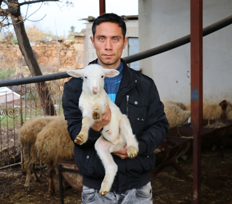 Mahalleye Dadanan Hırsıza Karşı Camiden Uyarı Anonsu Yapılıyor