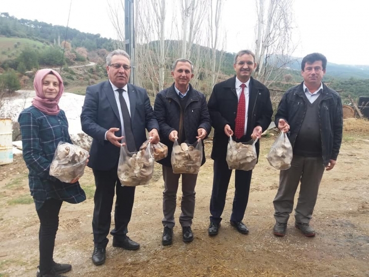 Genç Çiftçi Projesi İle İstiridye Mantarı Üretimine Başladı