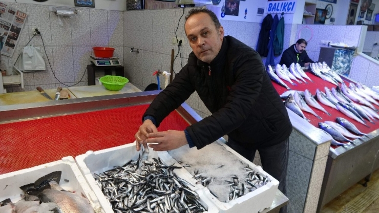 Beklenen Hamsi Gürcistan’dan Geldi