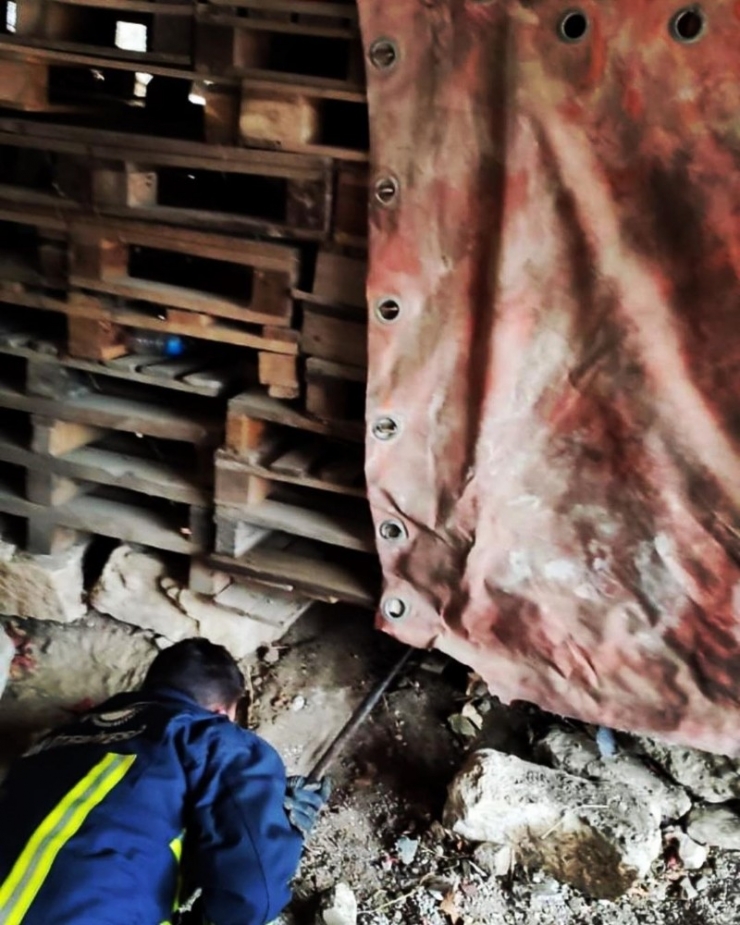 Tahta Paletlerin Altında Sıkışan Köpek İtfaiye Tarafından Kurtarıldı