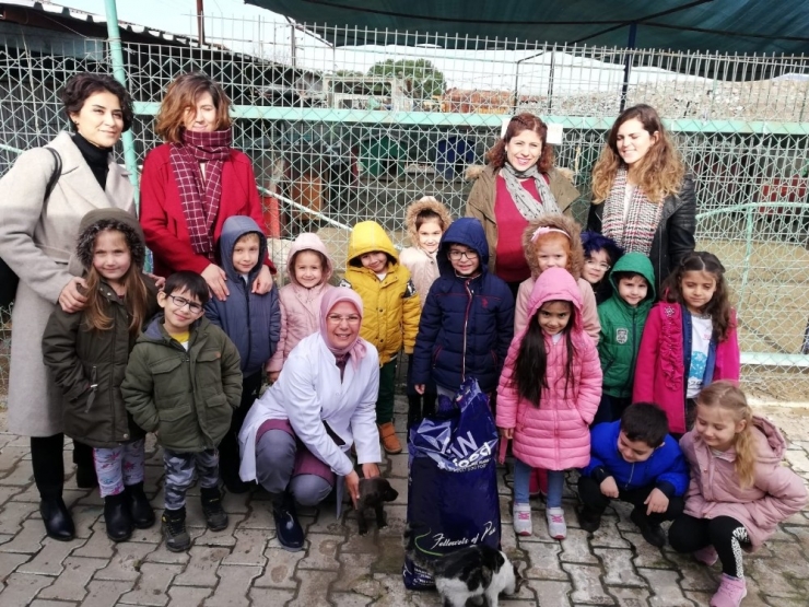 Minikler Hem Hayvanları Tanıma Hem De Sevme Fırsatı Buldu