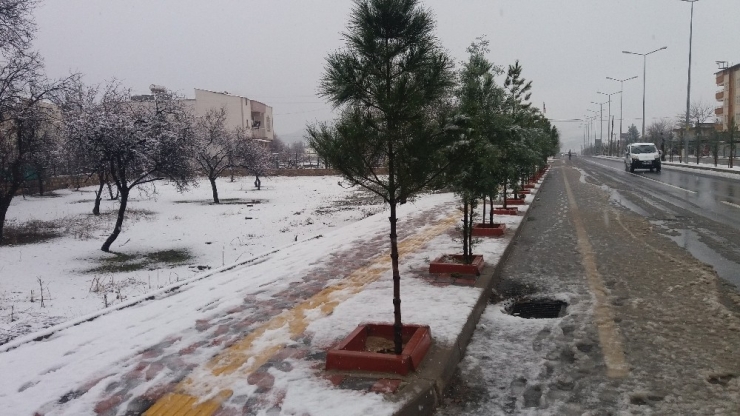 Dicle’de Kar Yağışı Hayatı Olumsuz Etkiledi