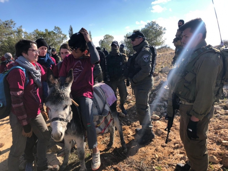 İsrail Güçleri, Filistinlilerin Zeytin Fidanlarını Dikmesini Engelledi