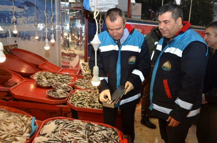Karabük’te Balık Tezgahlarında Denetim Yapıldı