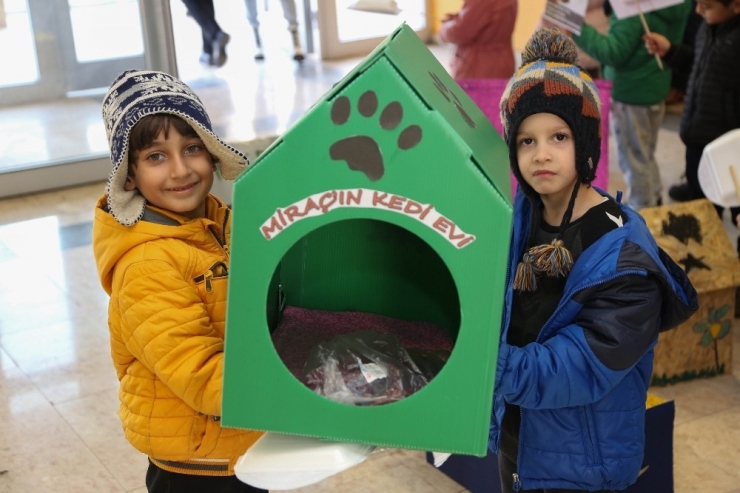 Kediler Üşümesin Diye Yuva Yaptılar