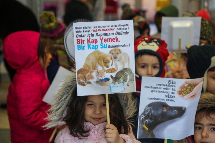 Kediler Üşümesin Diye Yuva Yaptılar