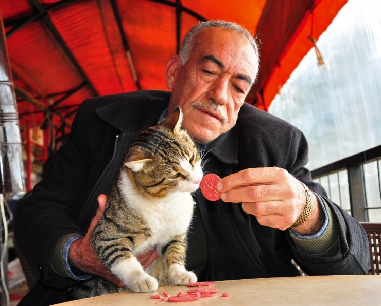 Hayatını Kurtardığı Kedi ‘Muzo’ İşletmesinin Maskotu Oldu