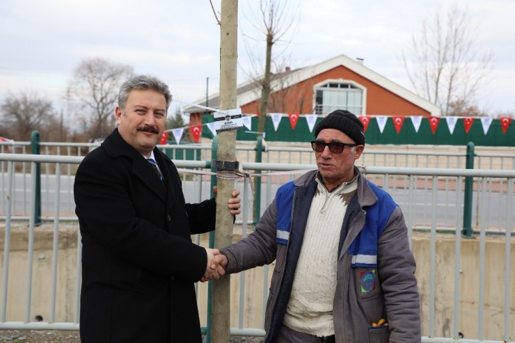 Başkan Palancıoğlu Personel İle Ağaç Dikti