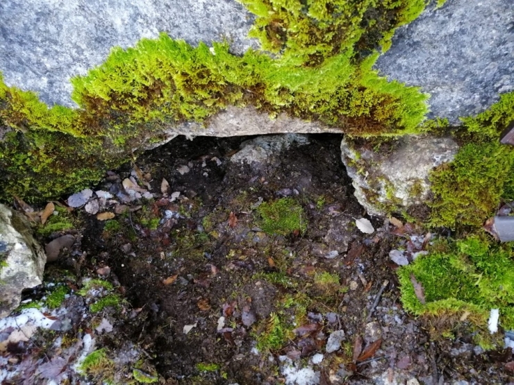 Siirt’te Pkk’lı Teröristlerin Kış Yapılanmasına Darbe