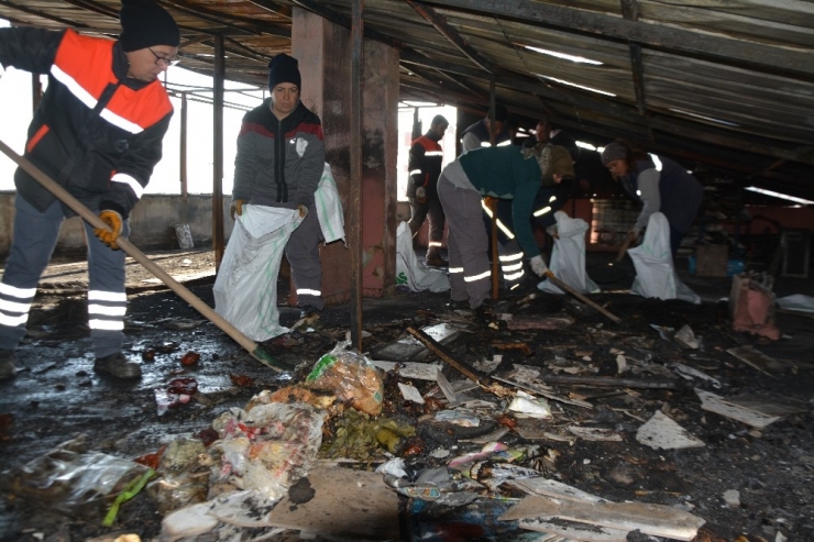 Söke Belediyesi Yangının İzlerini Sildi