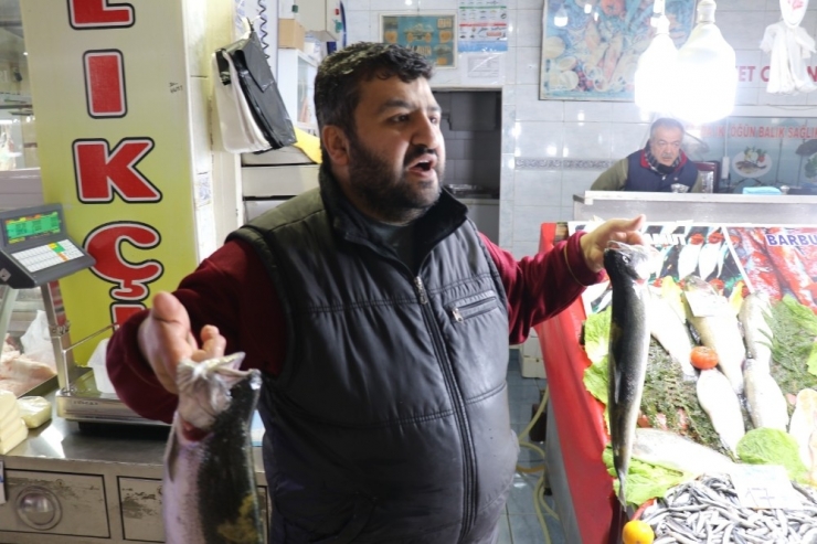 Balıkta Kdv’nin Düşmesinden Esnaf Da Vatandaş Da Memnun