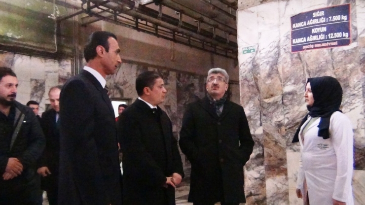 Van Valisi Bilmez, Erciş Hayvan Kesim Merkezi’nde İncelemelerde Bulundu