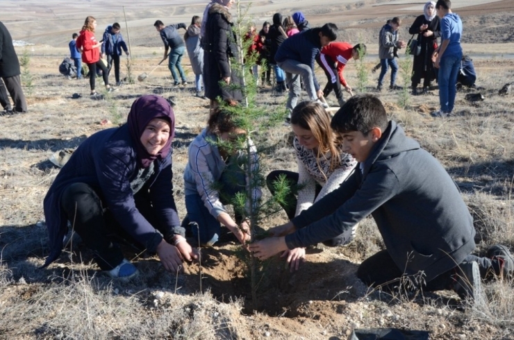 Emekli Maaşıyla 200 Bine Yakın Fidanı Toprakla Buluşturdu