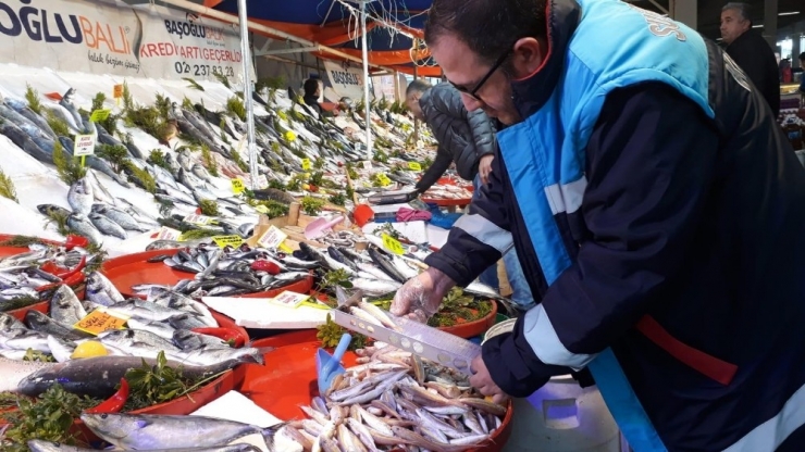 Antalya’da Su Ürünleri Denetimi