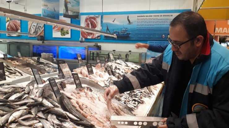 Antalya’da Su Ürünleri Denetimi