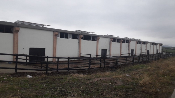 Diyarbakır’da İkinci Çiftlik Bank Vakası