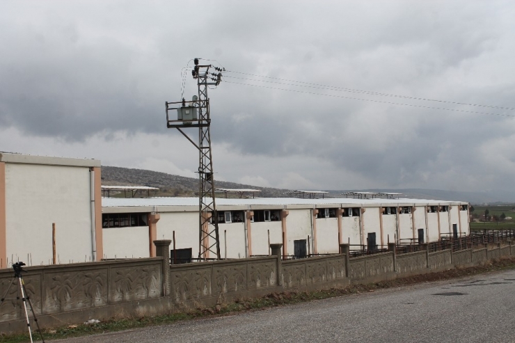 Diyarbakır’daki İkinci Çiftlik Bank Vakası Mağdurları Yardım Bekliyor