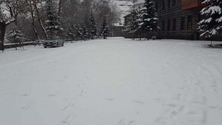 Kurt Karayoluna İndi