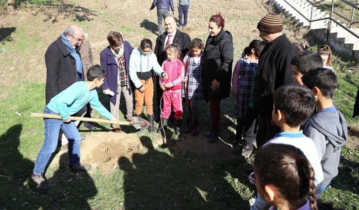 Edirne’de, 21 Okula 300 Hünnap Fidanı Dikilecek