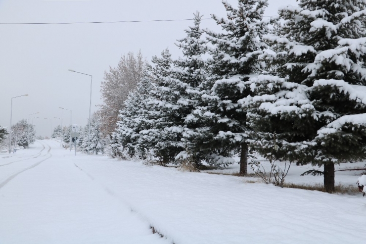 Sivas Beyaza Büründü, 251 Köy Yolu Araç Ulaşımına Kapalı