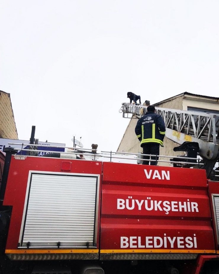 Soba Bacasını Temizlemek İçin Çıktığı Çatıda Mahsur Kaldı