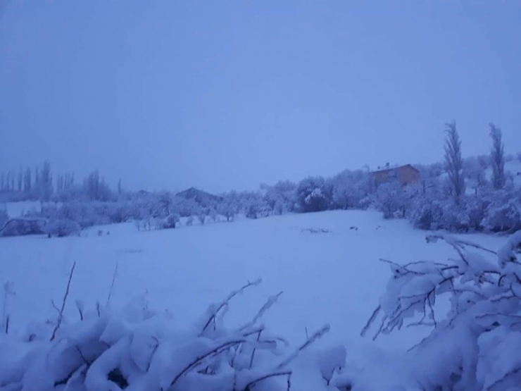 Ekipler Kapalı Köy Yollarını Açmak İçin Seferber Oldu