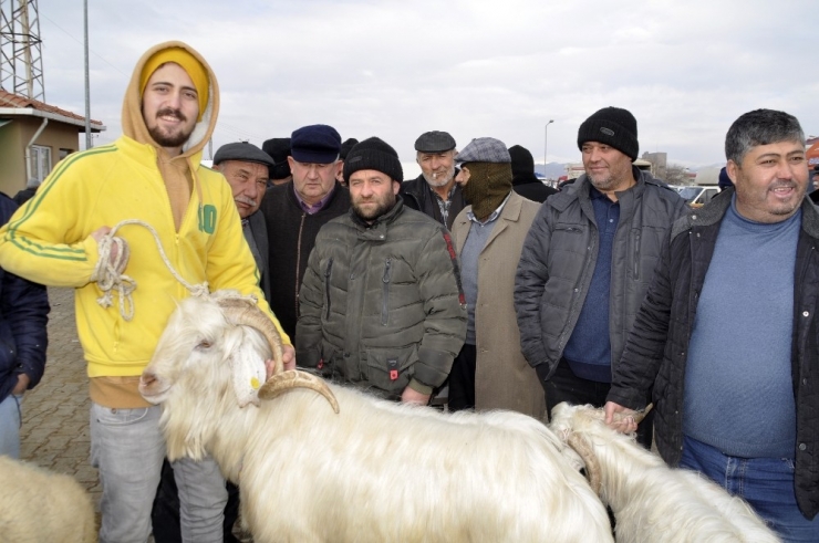 Afyonkarahisar’da Küçükbaş Fiyatları Düştü