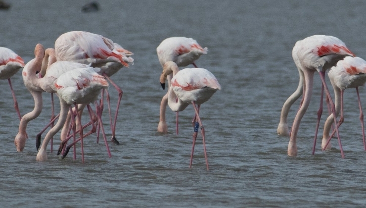 Venedik’ten Bursa’ya