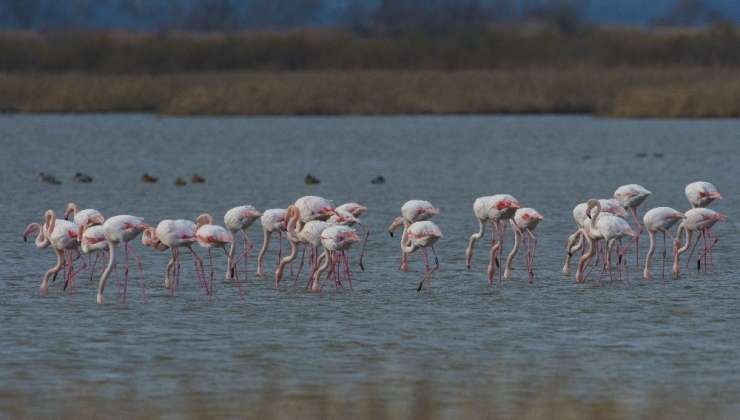 Venedik’ten Bursa’ya