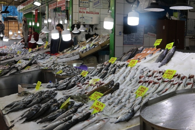 Hamsi Rusya Ve Gürcistan’dan Geriye Dönecek