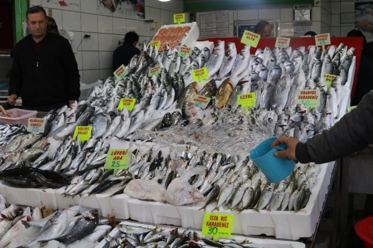 Hamsi Rusya Ve Gürcistan’dan Geriye Dönecek