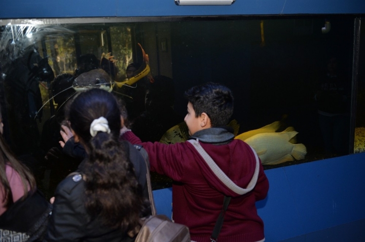 Öğrenciler Tarsus Hayvan Parkı’nı Gezdi