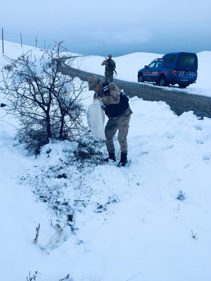 Yaban Hayvanlarına Jandarma Şefkatı
