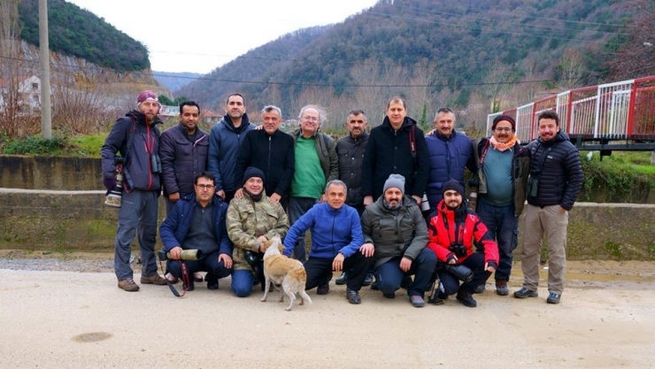 En Nadir Kuş Türlerinden ’Alaca Çinte’ 4 Yıl Sonra İlk Kez Görüntüledi