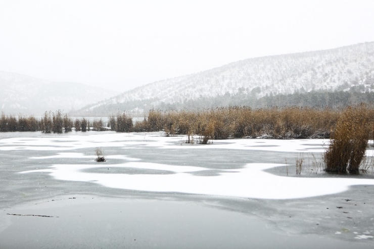 Ankara’da Kar Güzelliği
