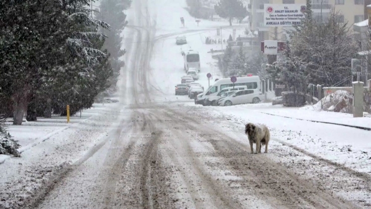 Başkent’te Kar Yağışı Etkili Oldu