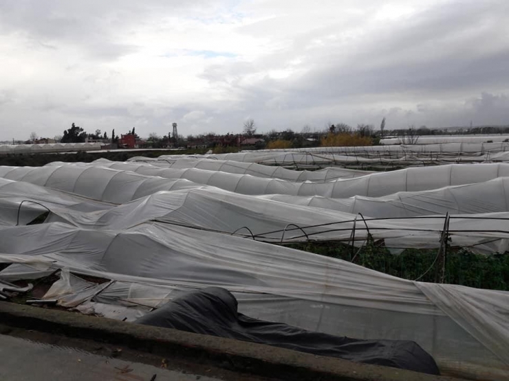 Fırtına Çilek Seralarını Vurdu